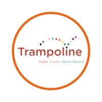 The Trampoline Group Logo
