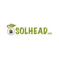 SOLHEAD Logo