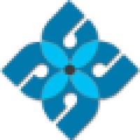 Digital Market Designs Logo