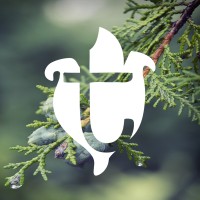 tuja wellness Logo