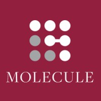 Molecule Consultancy Logo