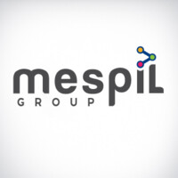 Mespil Group Logo