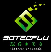 SOTECFLU Logo