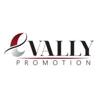 EVALLY PROMOTION Logo