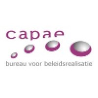 Capae ProjectExperts bv Logo