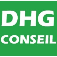 DHG CONSEIL Logo
