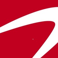 nf sports management Logo