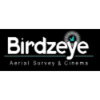 Birdzeye Survey Logo