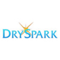 DrySpark Web Presence and Design Logo