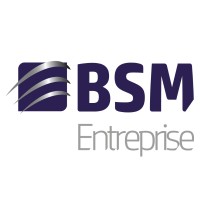 BSM Entreprise Logo