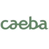 Caeba - conseil, assistance et ingénierie Logo