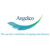 Angelico Ventures Logo