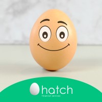 Hatch Financial Services Logo