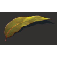 Seasons Funerals Logo