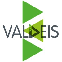 VALDEIS Logo