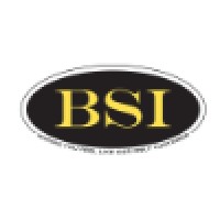 Business Solutions International Logo