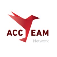 ACCTEAM Network Logo
