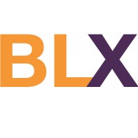 BLX EXPERTISES Logo