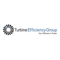 Turbine Efficiency Group Logo