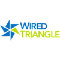 Wired Triangle Logo