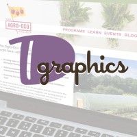 D Graphics Logo