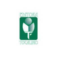Editora Tocalino Logo