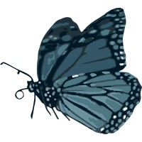 Chrysalead Logo