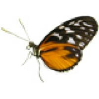 El Bosque Nuevo Butterfly Farm Logo