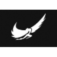 Icarus Jet inc Logo