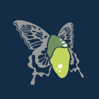 Cocoonfxmedia Ltd Logo