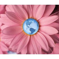 The Blossom Project Logo