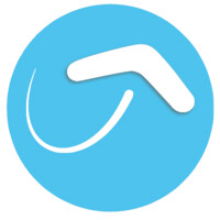 Boomerang Information Services, Inc. Logo