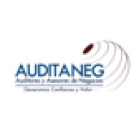 AUDITANEG - Auditores y Asesores de Negocios Logo