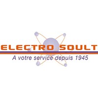 ELECTRO SOULT Logo