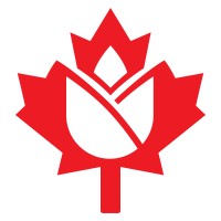 Netherlands-Canada Chamber of Commerce Logo