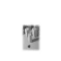 PJ Lynch Associates Logo