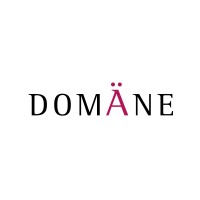 Domäne Group Inc. Logo