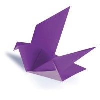 Hospice & Palliative Care Buffalo Logo
