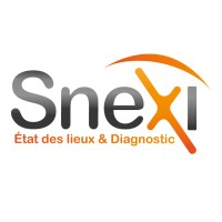 SNEXI Logo