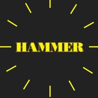 Hammer Publishers Pvt. Ltd. Logo