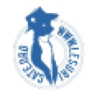Le Suricate Magazine Logo
