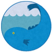 Small Fish Technologies Logo