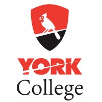 York College of the City University of New York Logo