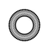 CureSupport Logo