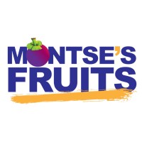 Its Montse Inc. Logo