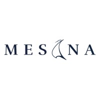 Mesana Corporación Logo