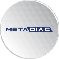 Metadiag Automotive Technologies Logo
