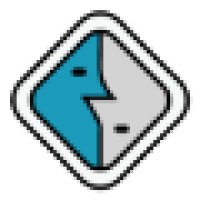 The Financial Search Group, Ltd. Logo