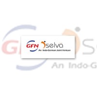 GFN DSelva Infotech PVT LTD Logo