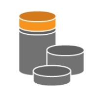 CSSA Data Science Logo
